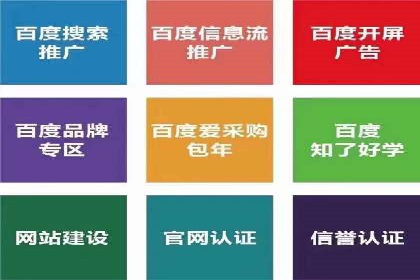 实战技巧：竞价推广案例解析与效果评估